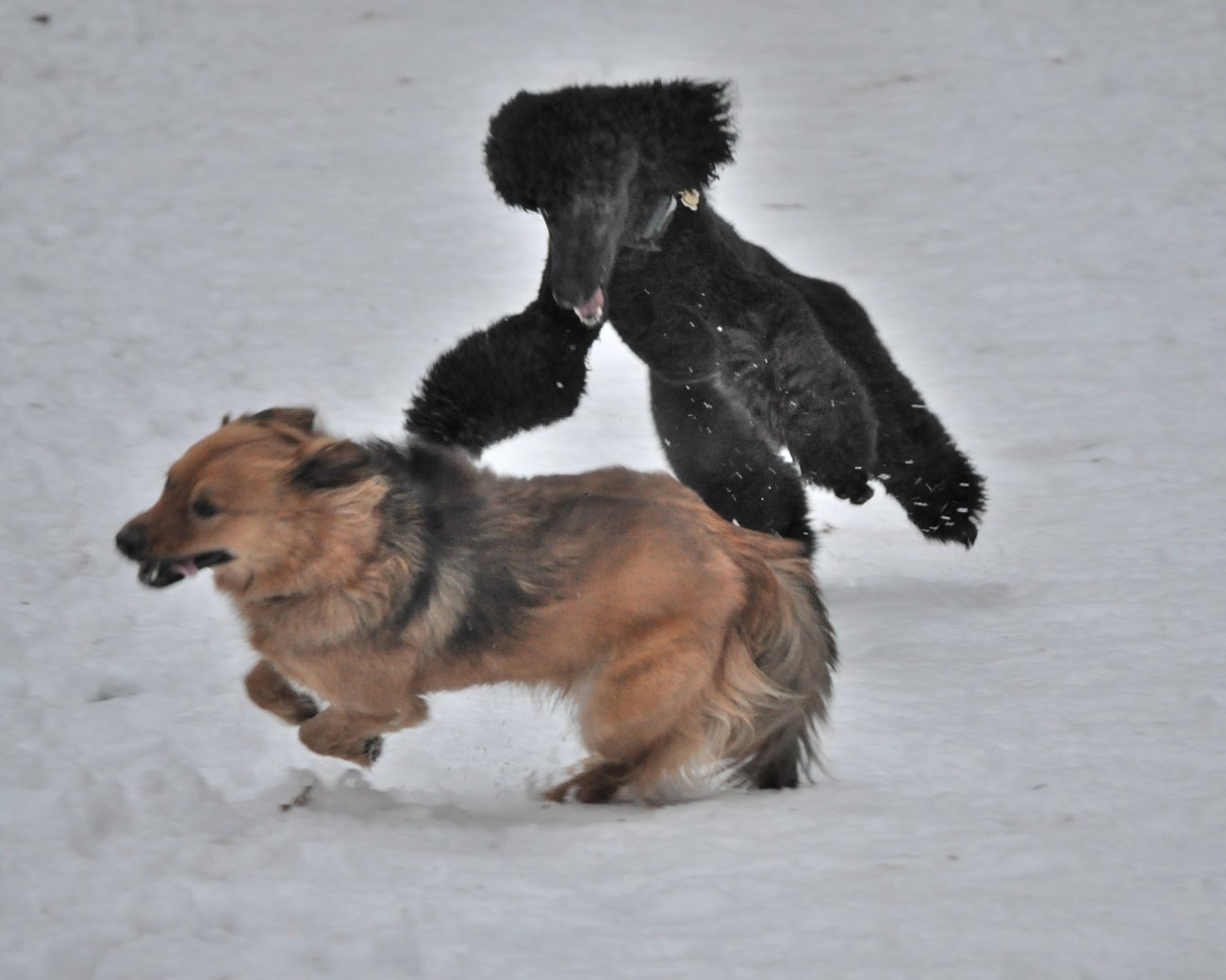 DSC_0112.JPG