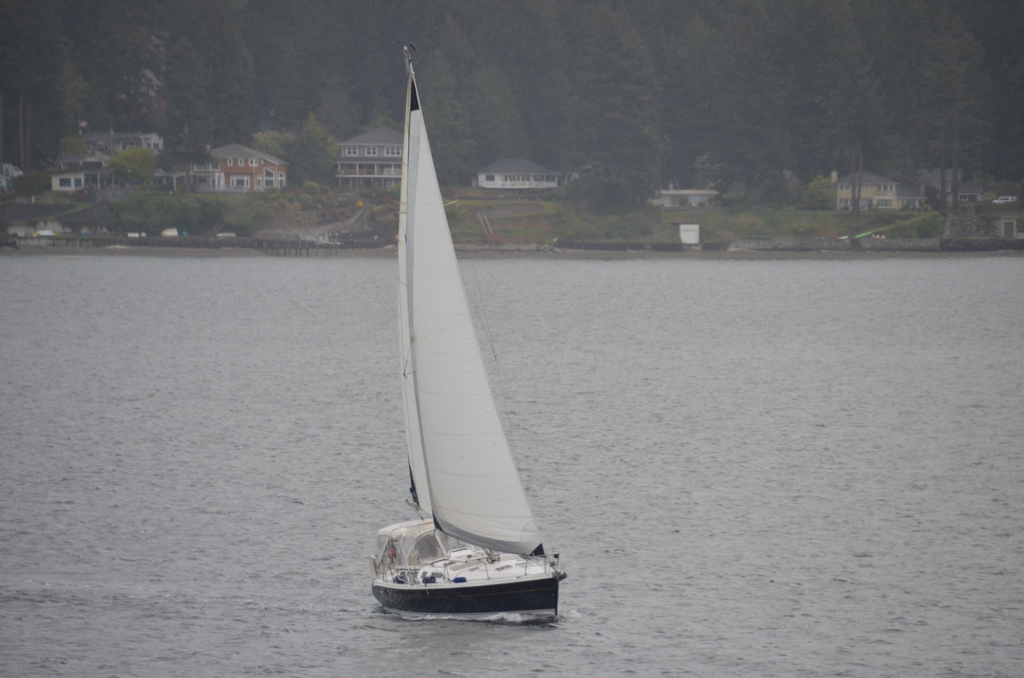 DSC_0136.JPG