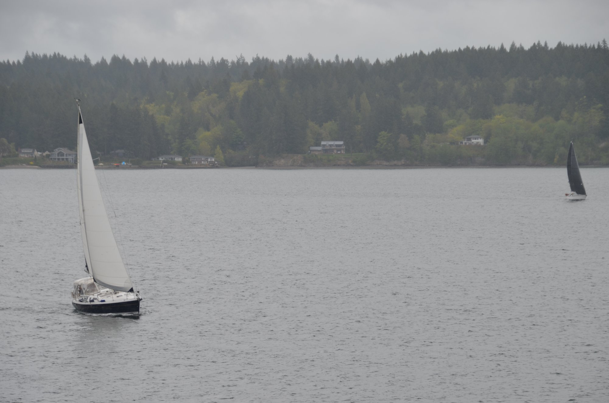 DSC_0140.JPG