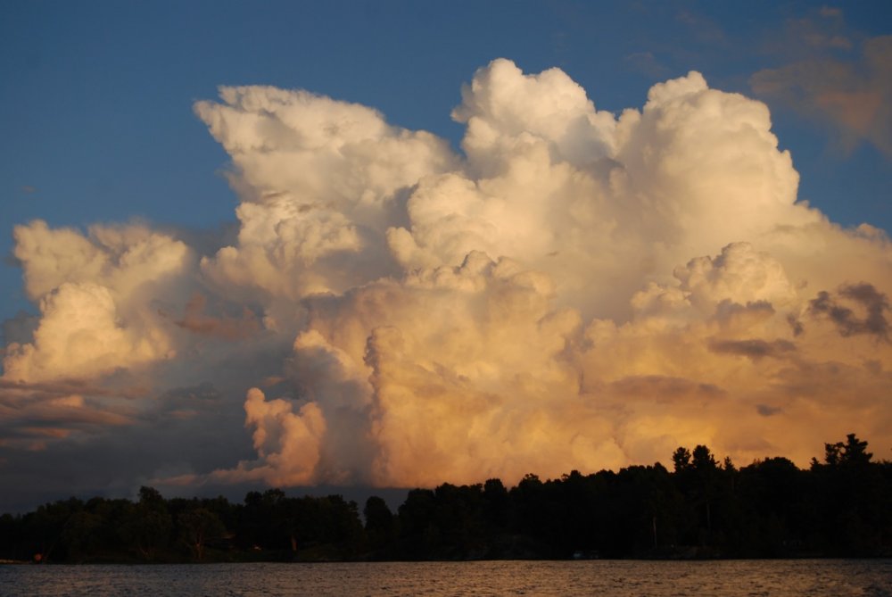 DSC_0247.JPG.jpg