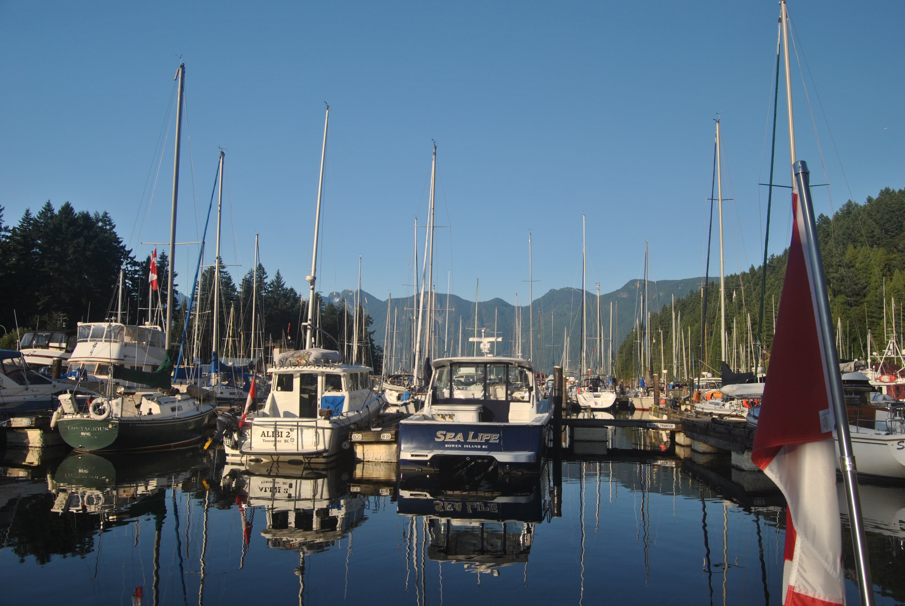 DSC_0296.jpg