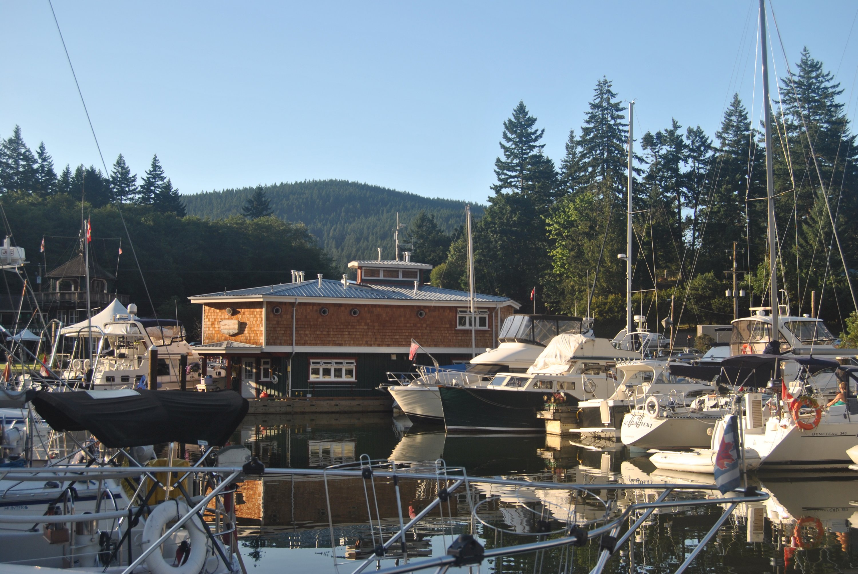 DSC_0297.jpg