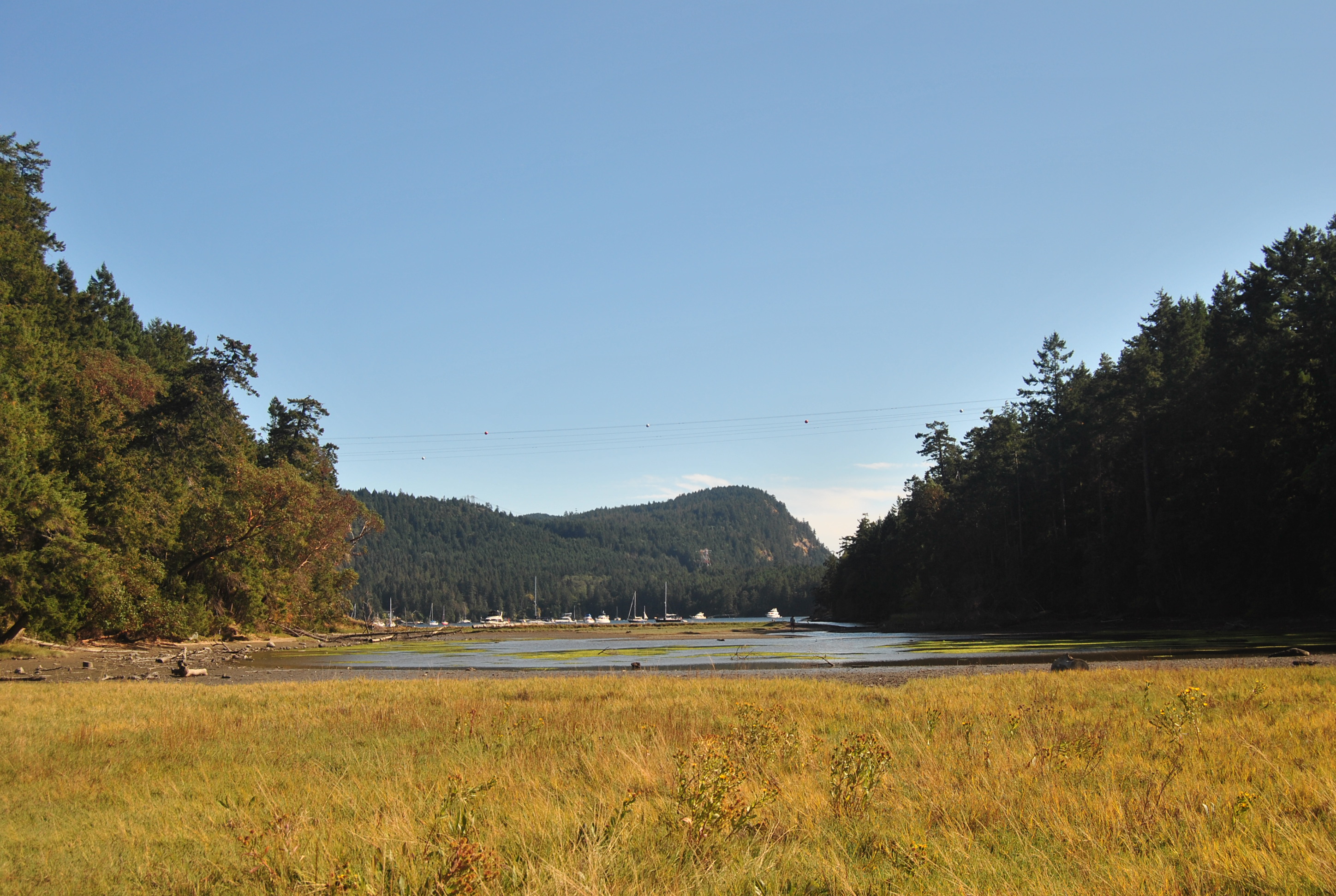 DSC_1001.jpg