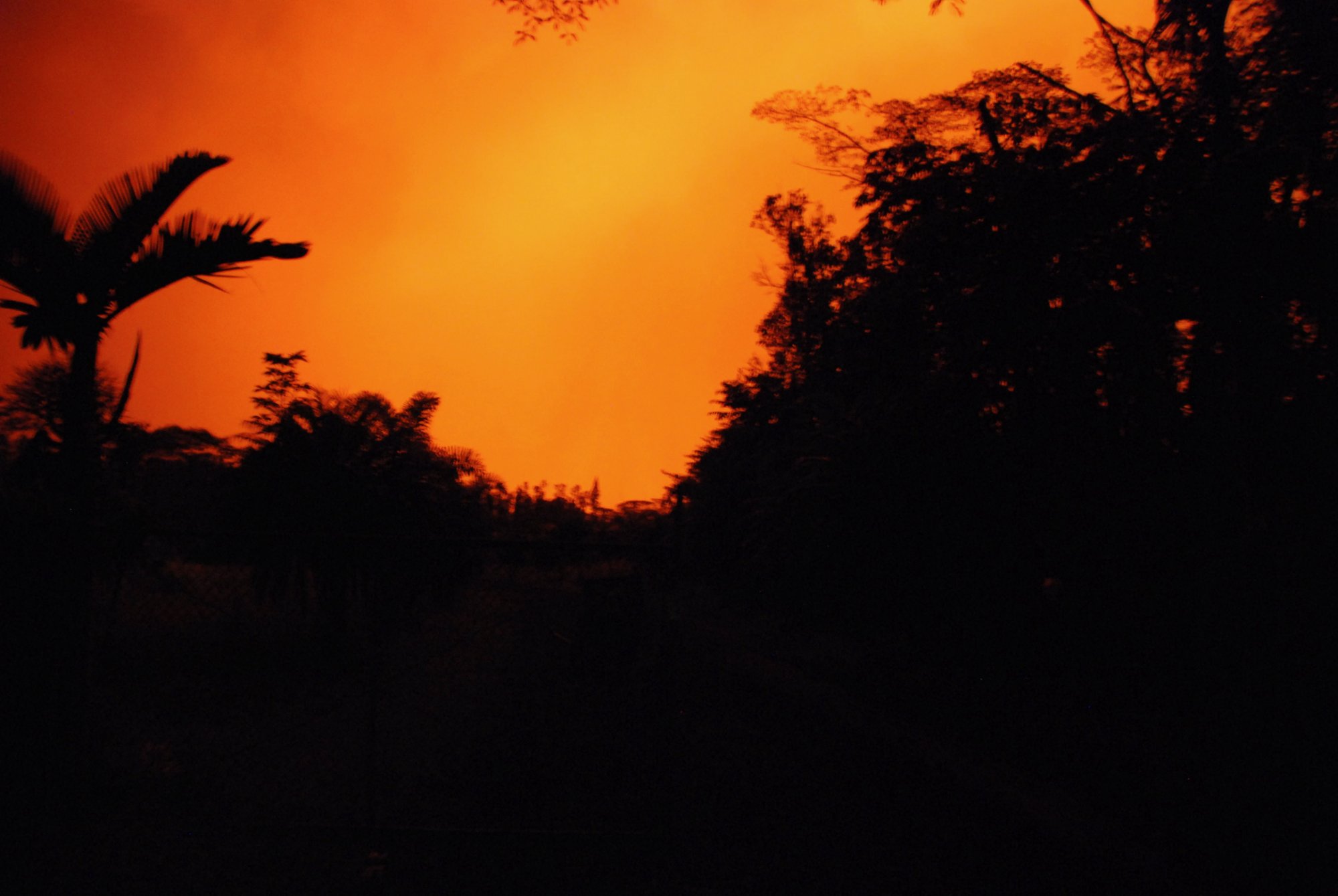 DSC_2033.jpeg
