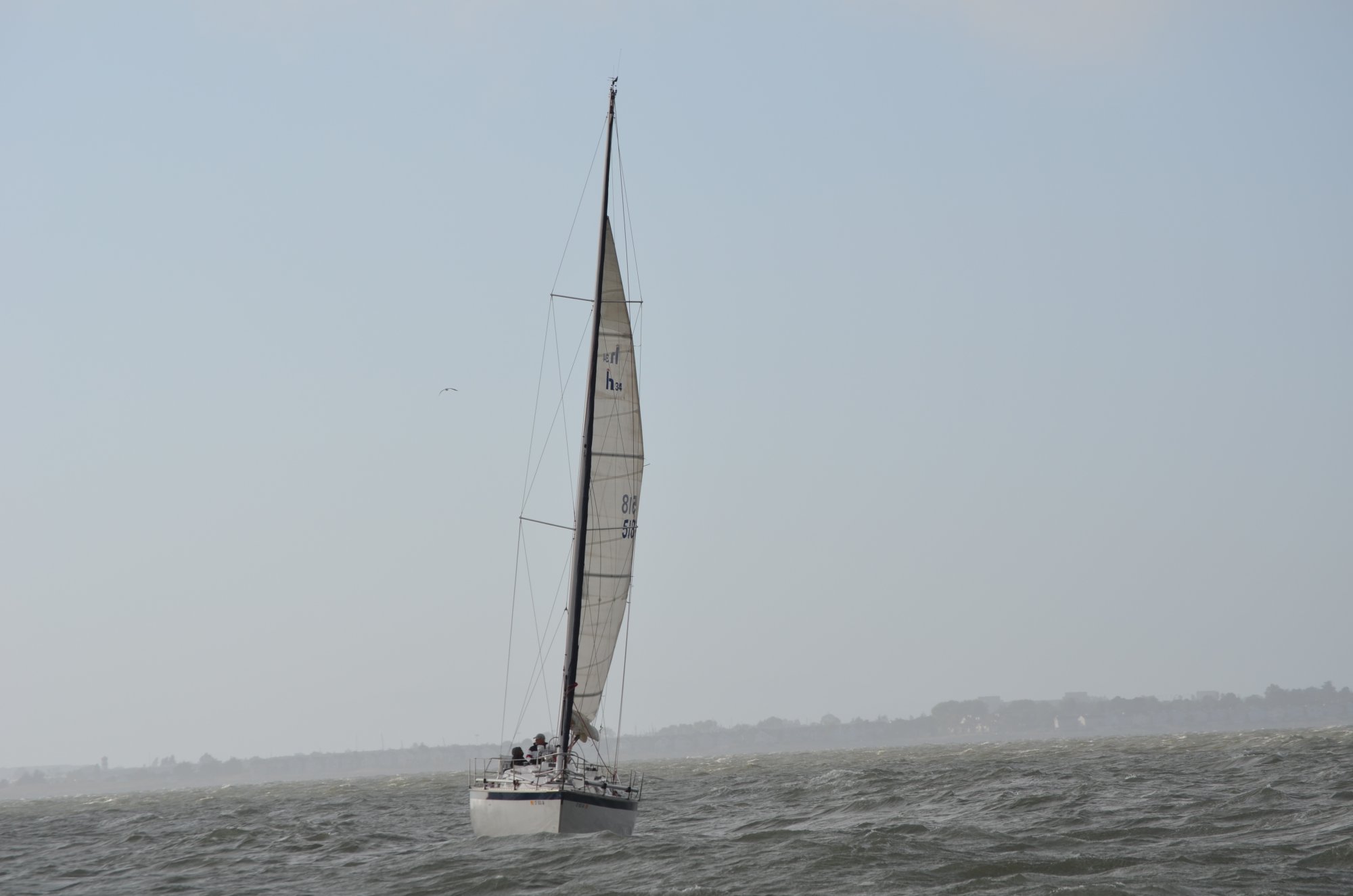 DSC_3256.jpg