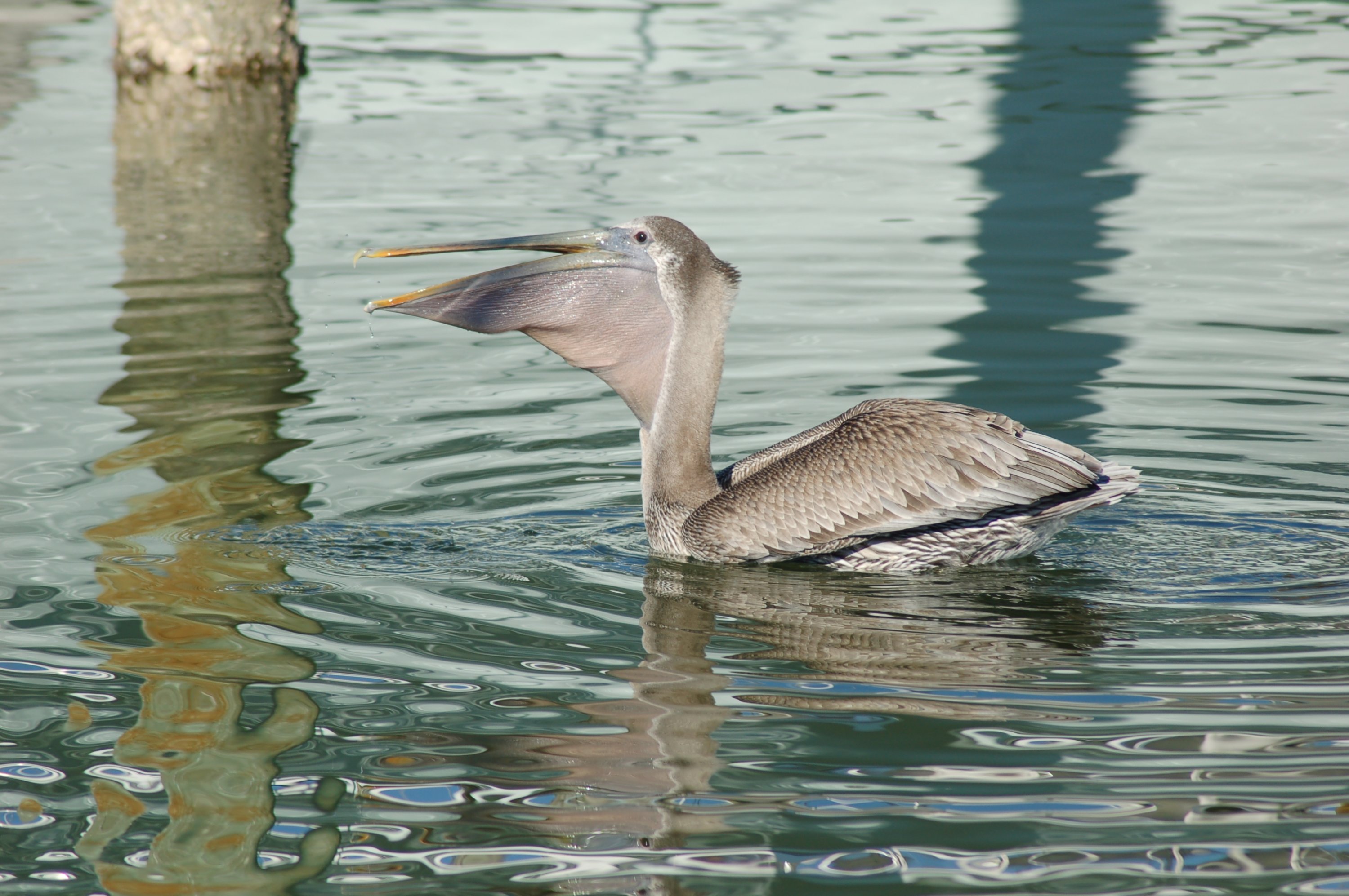 DSC_6943.JPG