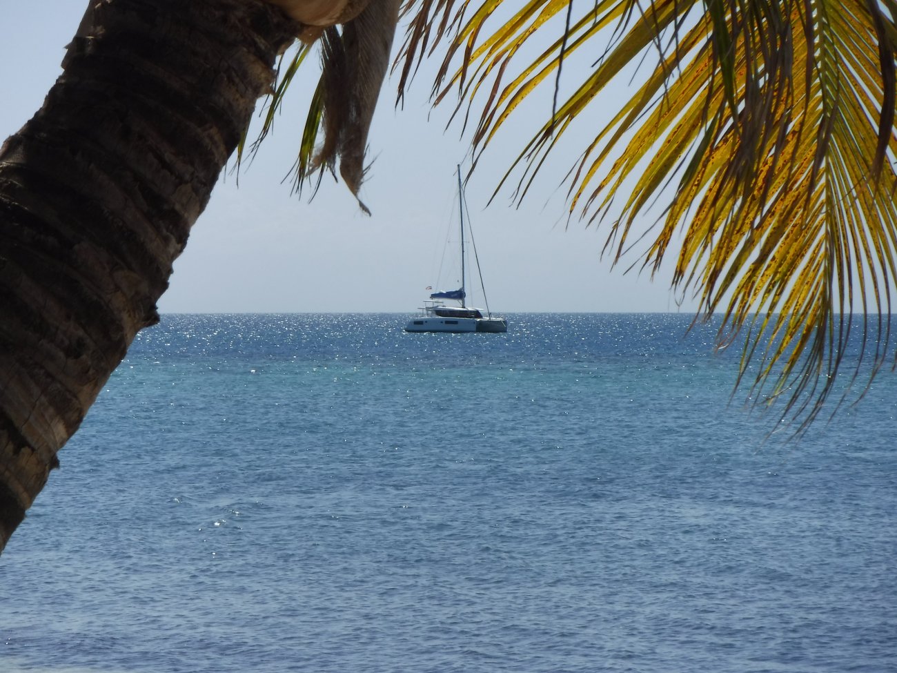 DSCF0419.JPG