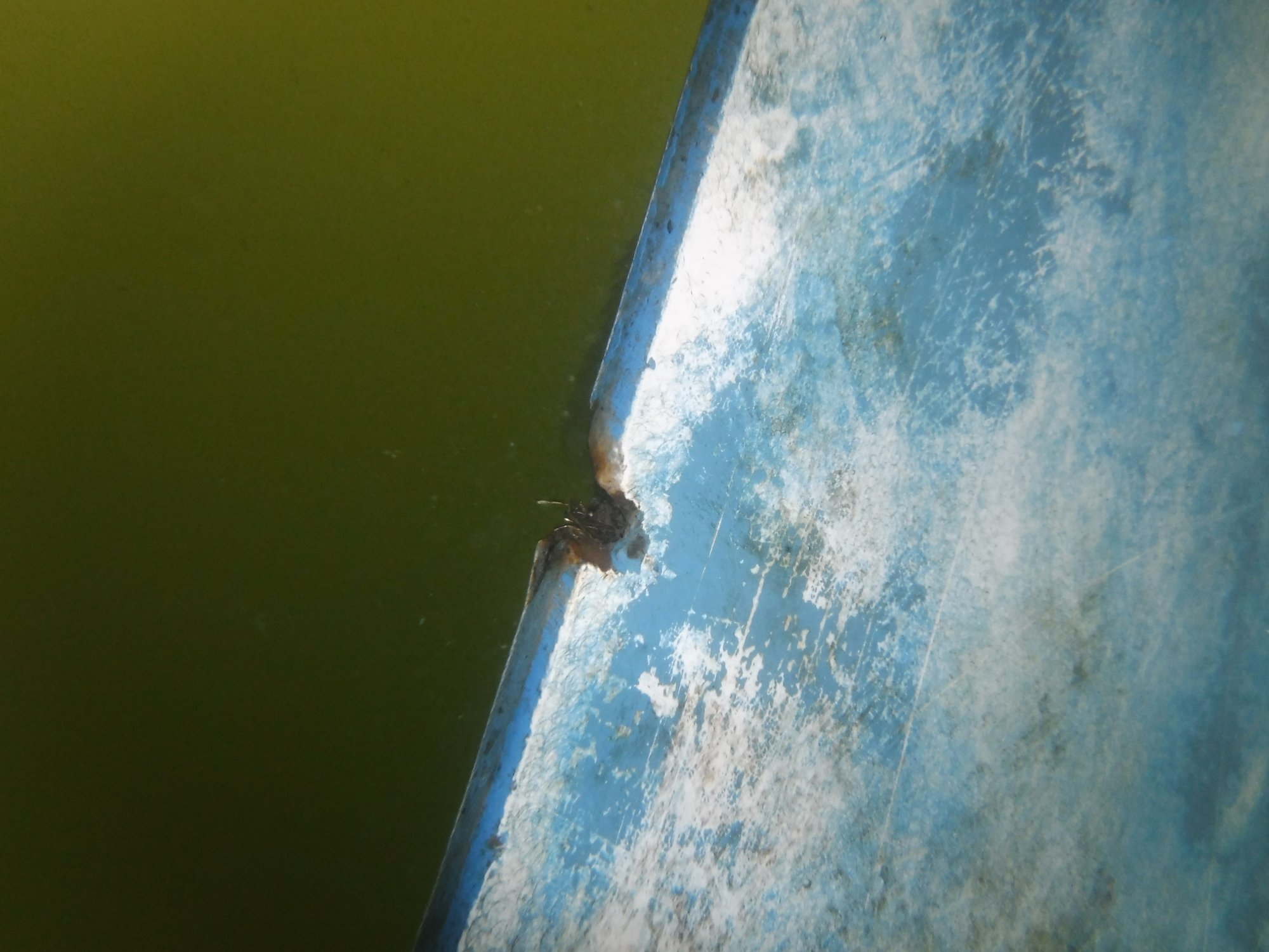 DSCF0573.JPG