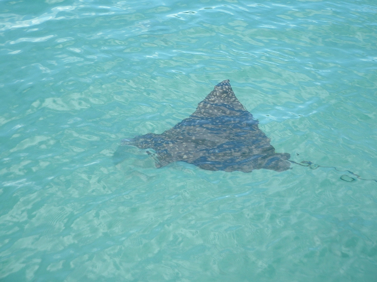 DSCF1507.JPG