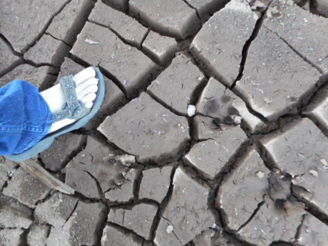 DSCN0613.JPG
