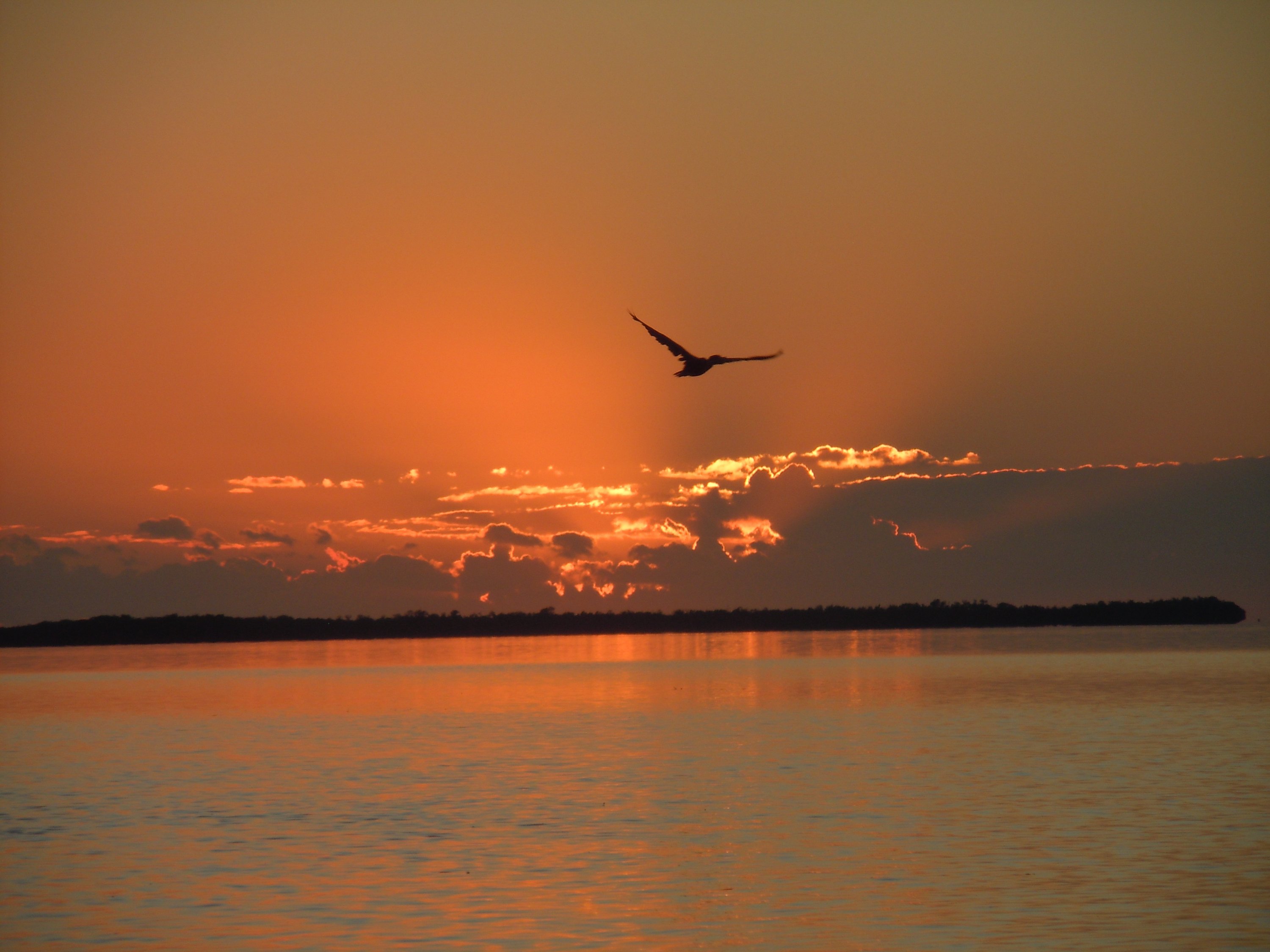 DSCN4491.JPG