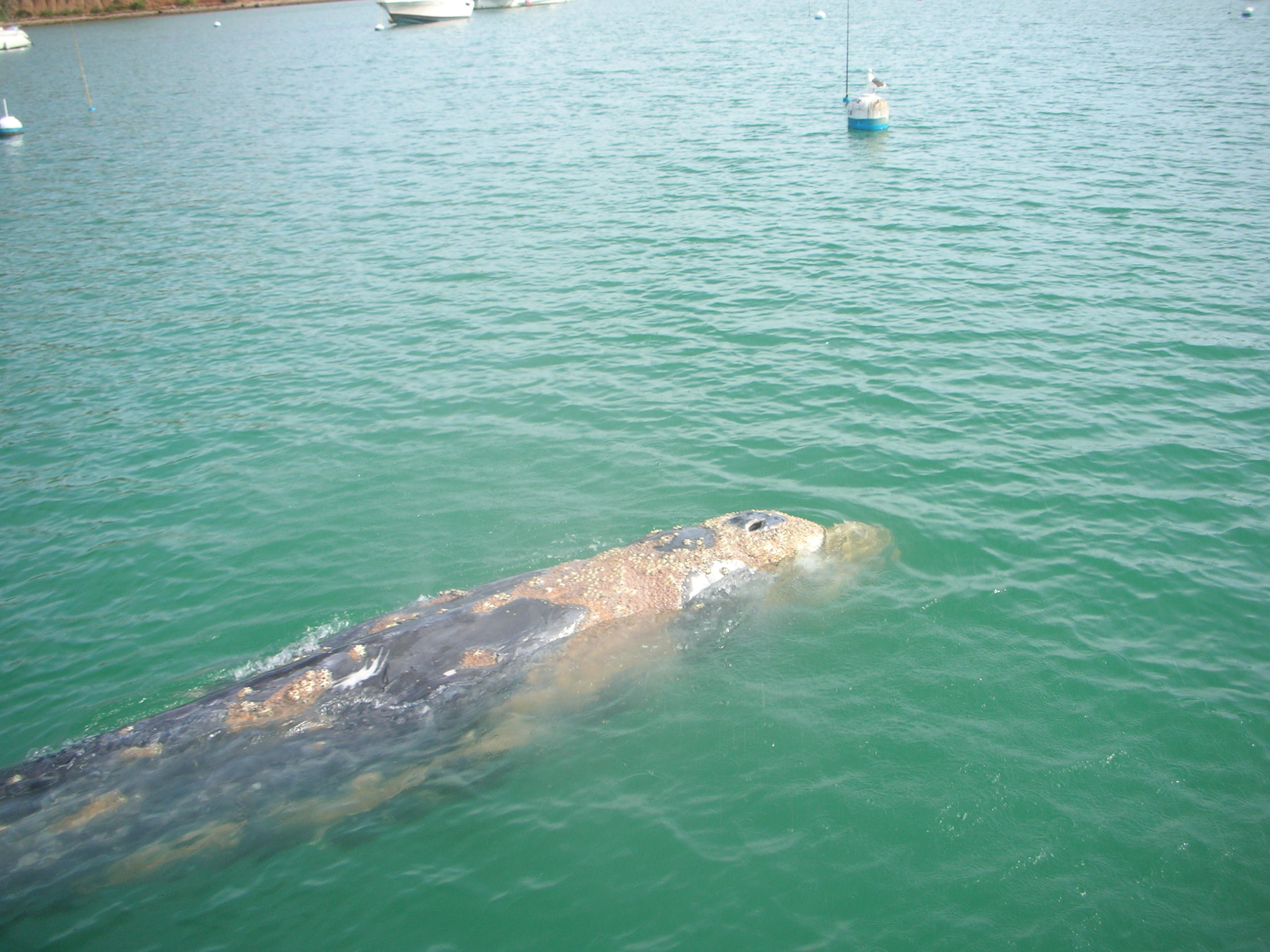 DSCN5739.JPG