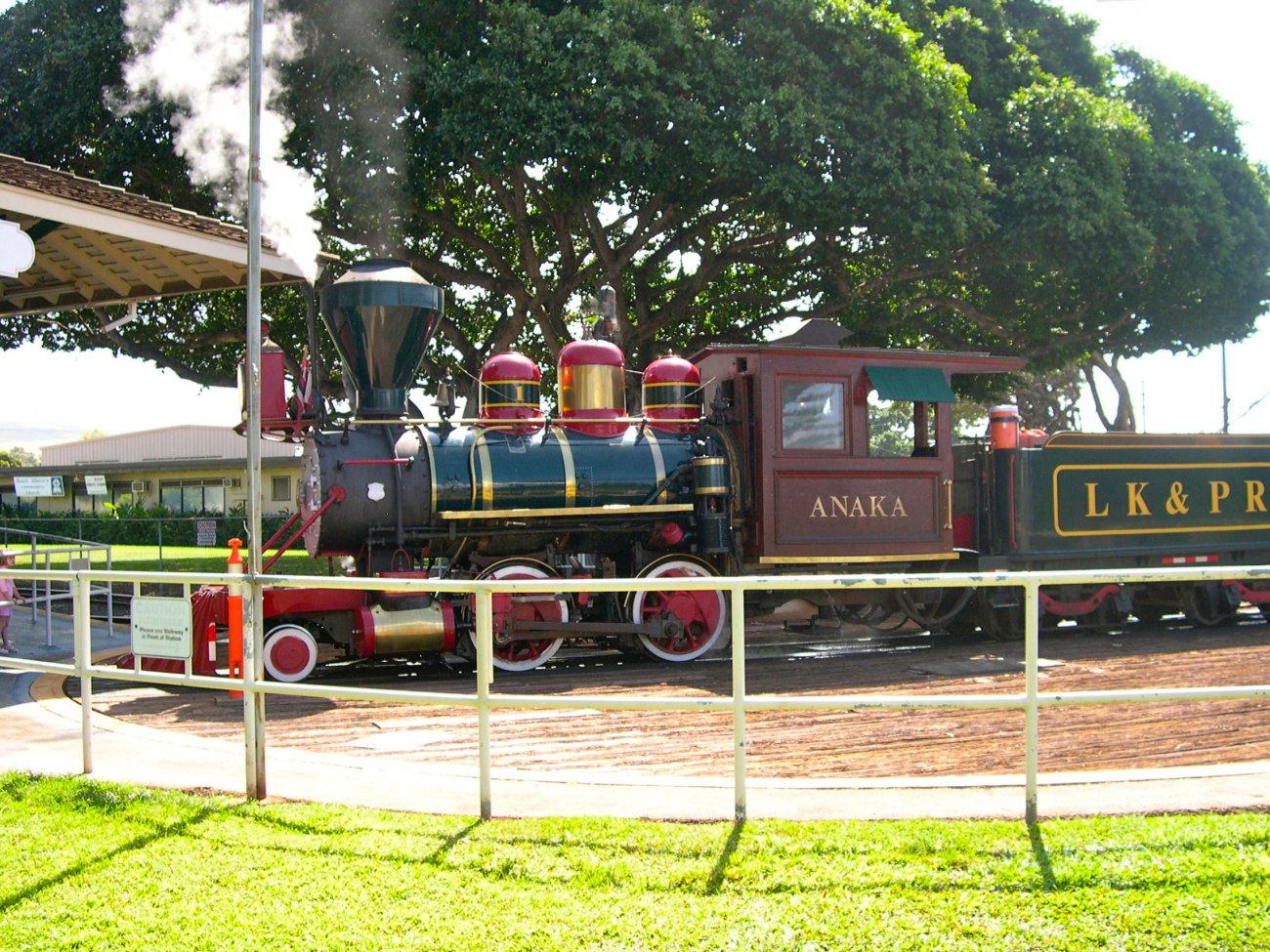 DSCN9850.jpg