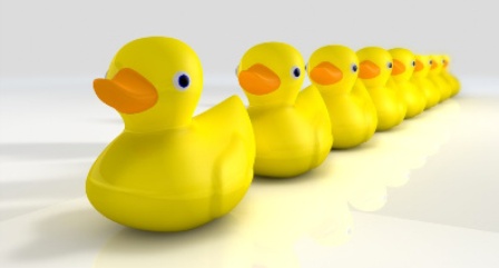 Ducks in a row.jpg