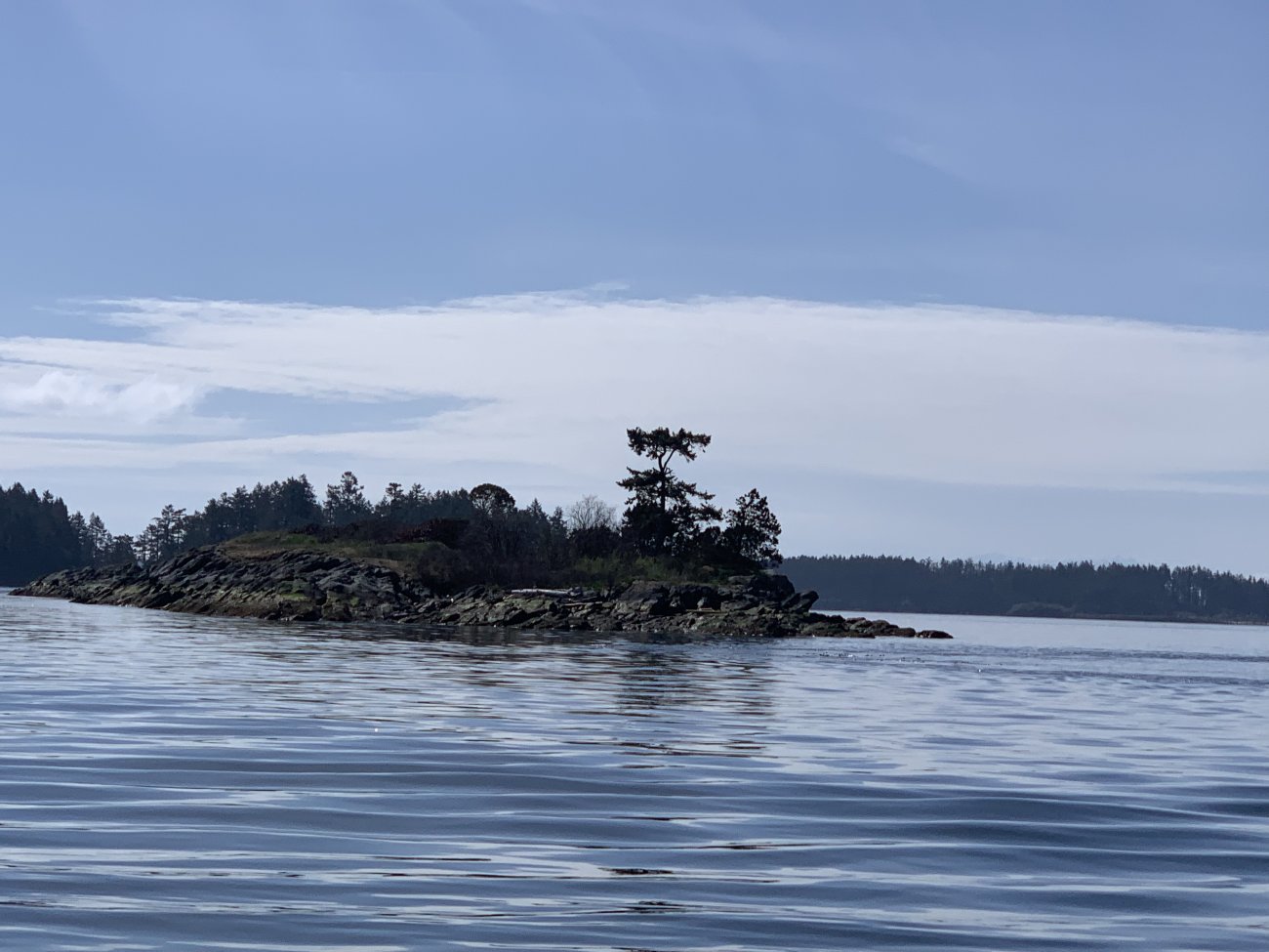 E8612D55-6328-4F86-A10E-B0466E2319F1.jpeg