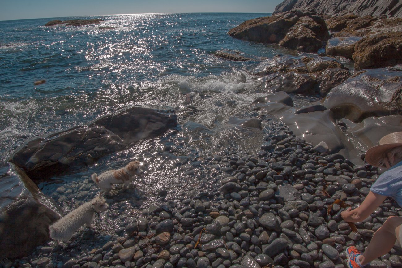 Eden beachcombing  (1 of 1).jpg