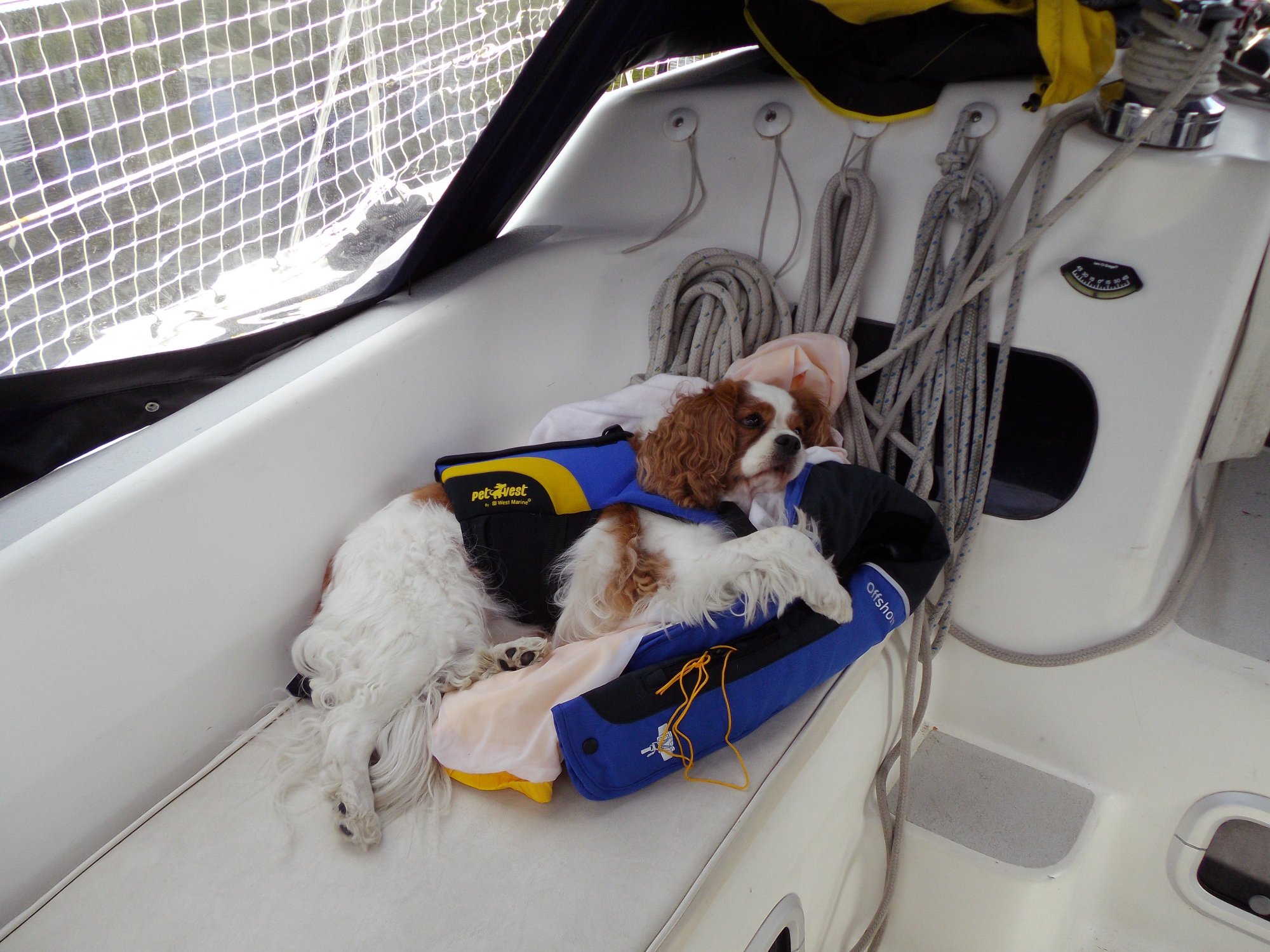 Emma Grace relaxed on boat.jpg