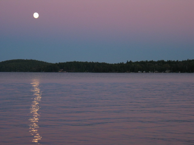 Evening In Lavender.JPG