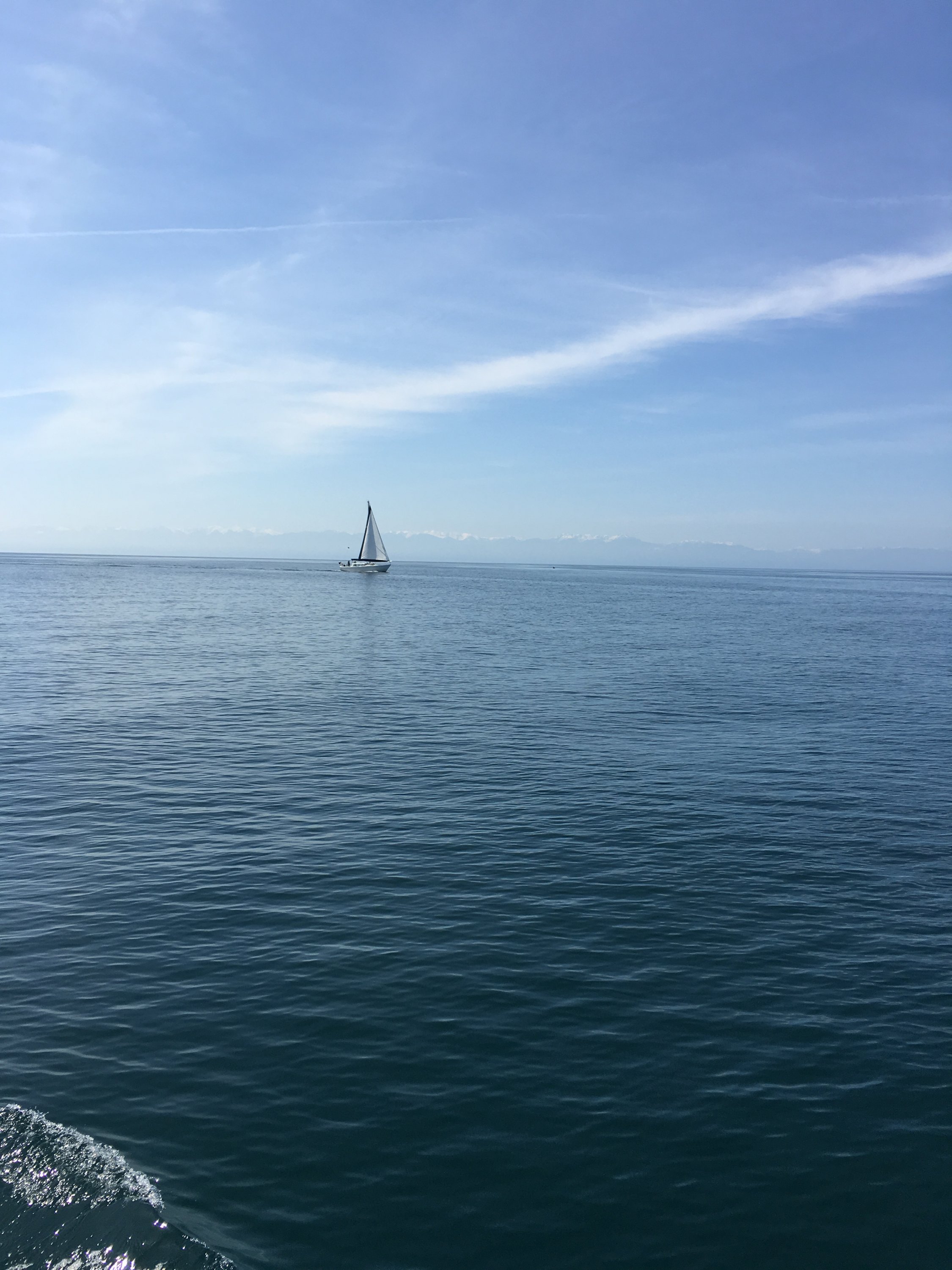 F09B568D-685C-4F28-848A-8002C86BA177.jpeg