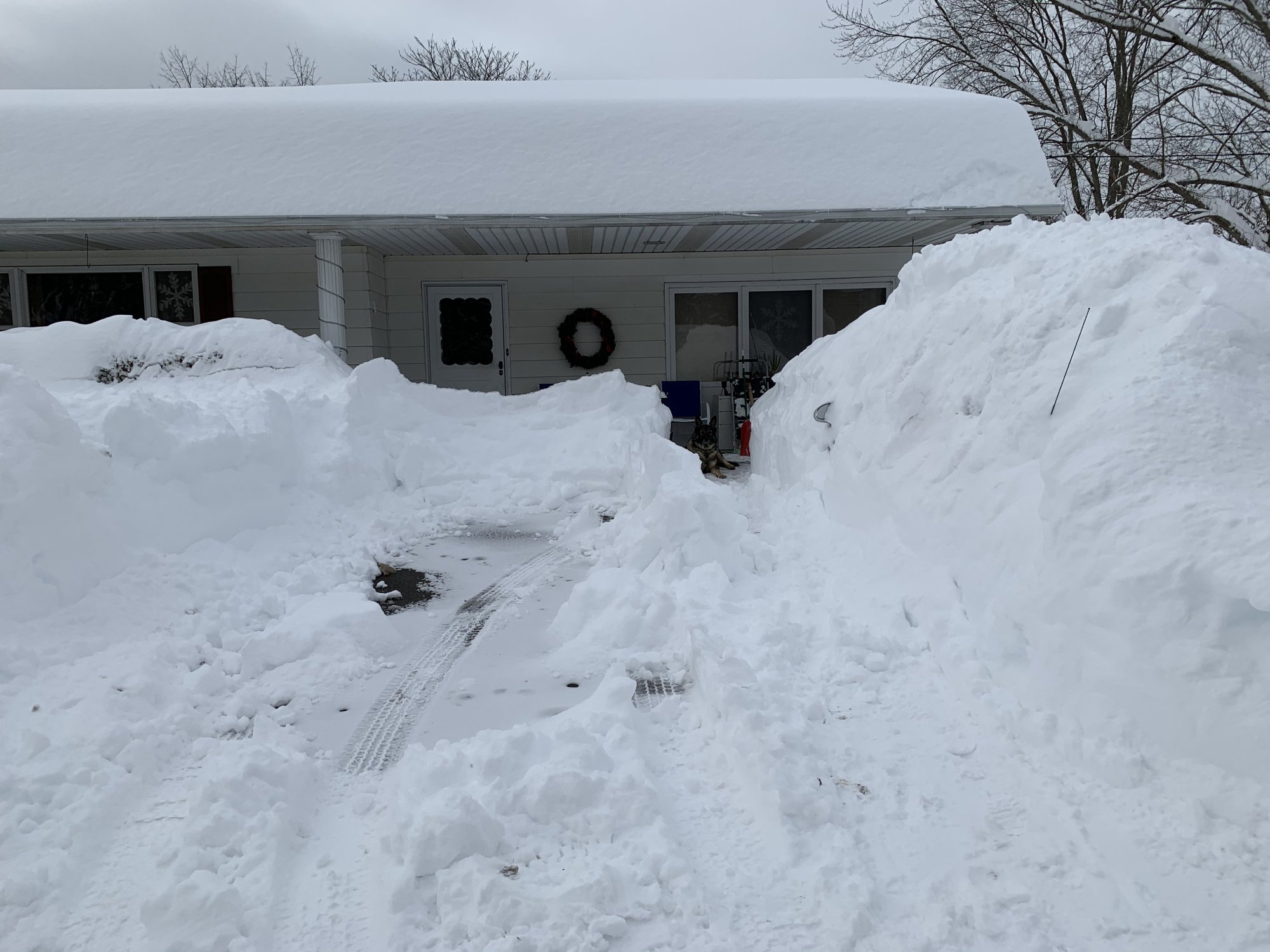 F5D2696E-3E0A-4055-857F-620518E06D5D.jpeg
