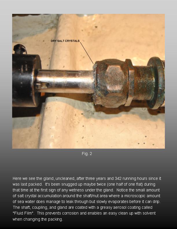Fig. 2.jpg