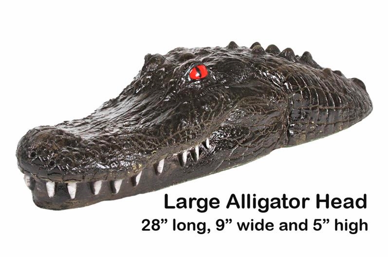 Floating Alligator Head.jpg