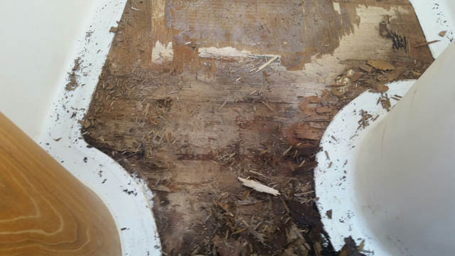 Floor_01.jpg