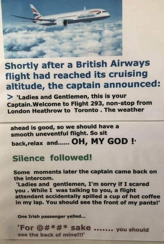 fly.jpg
