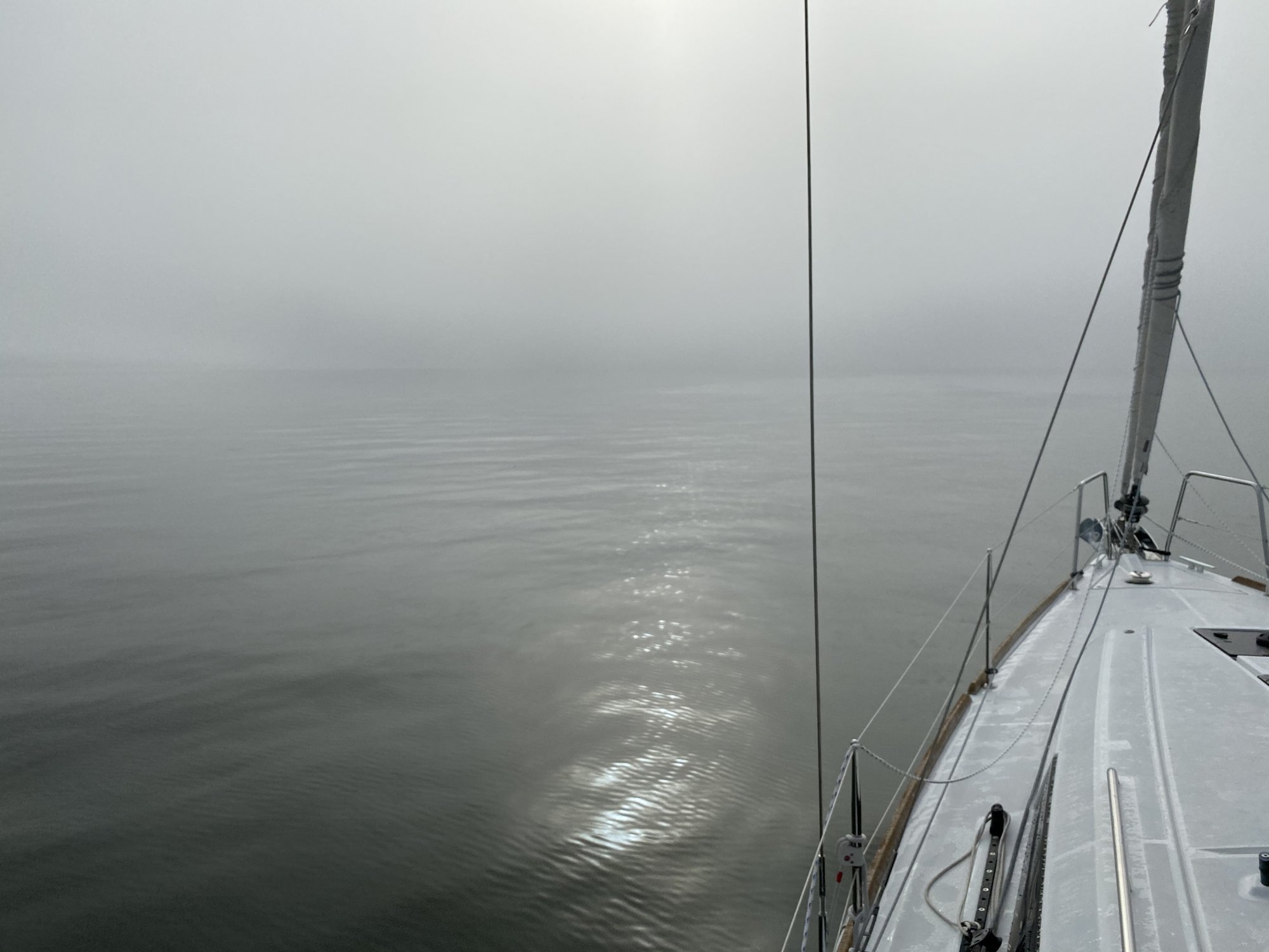 fog.jpeg