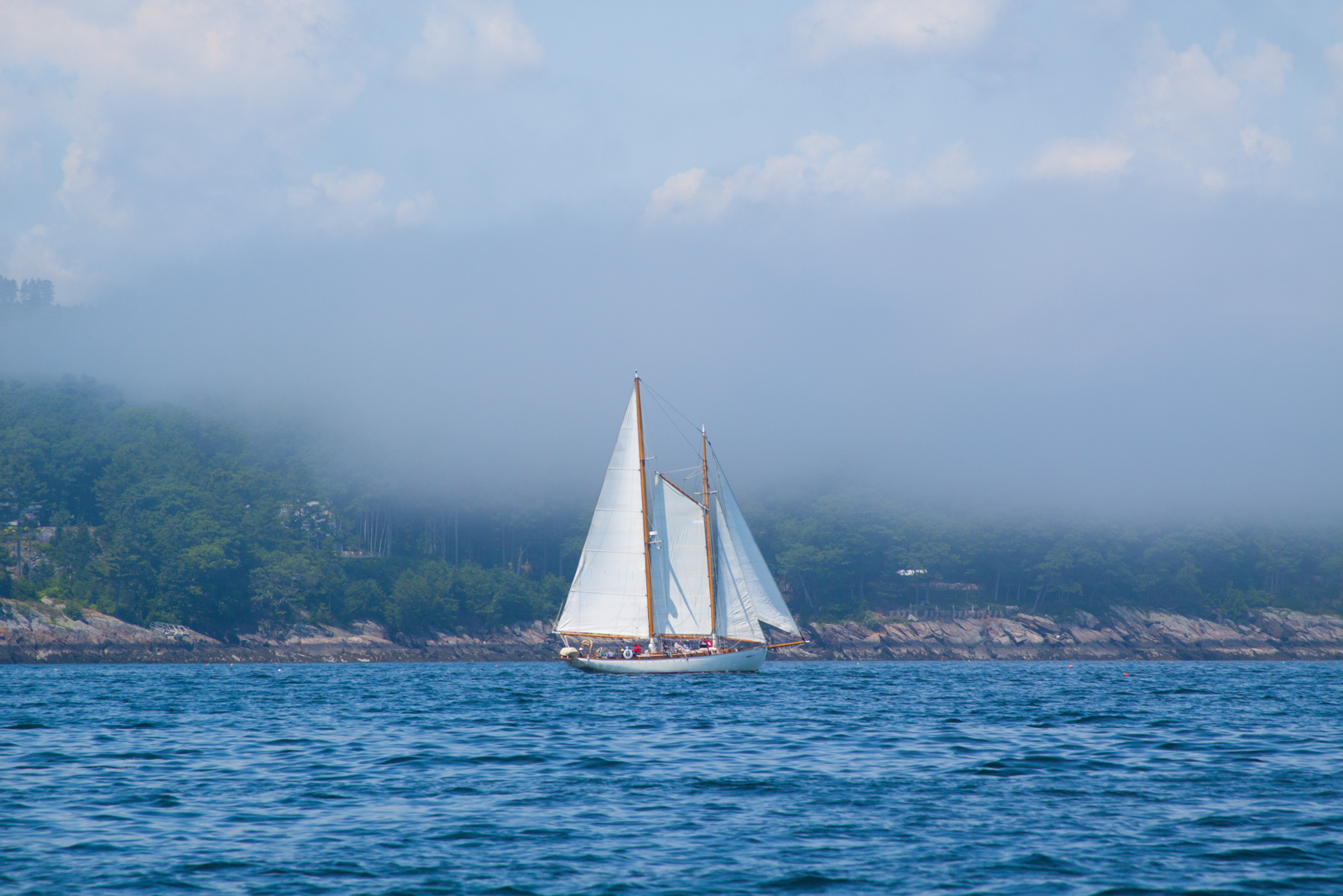 Fog lifting Heron (1 of 1).jpg