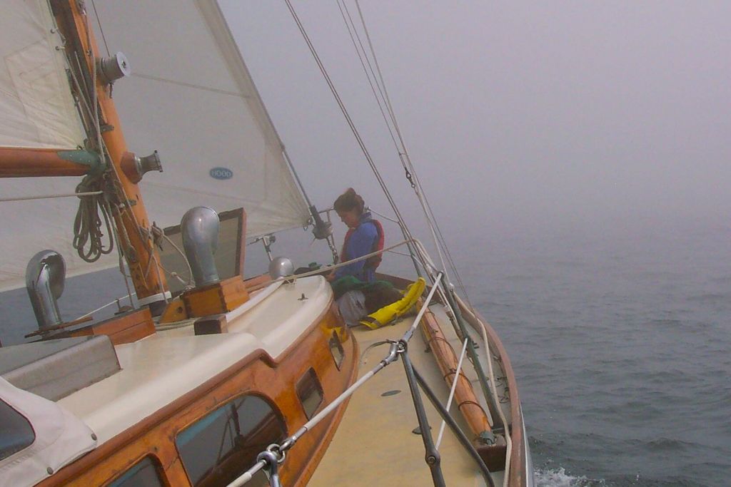 Fog lookouts crop.jpg