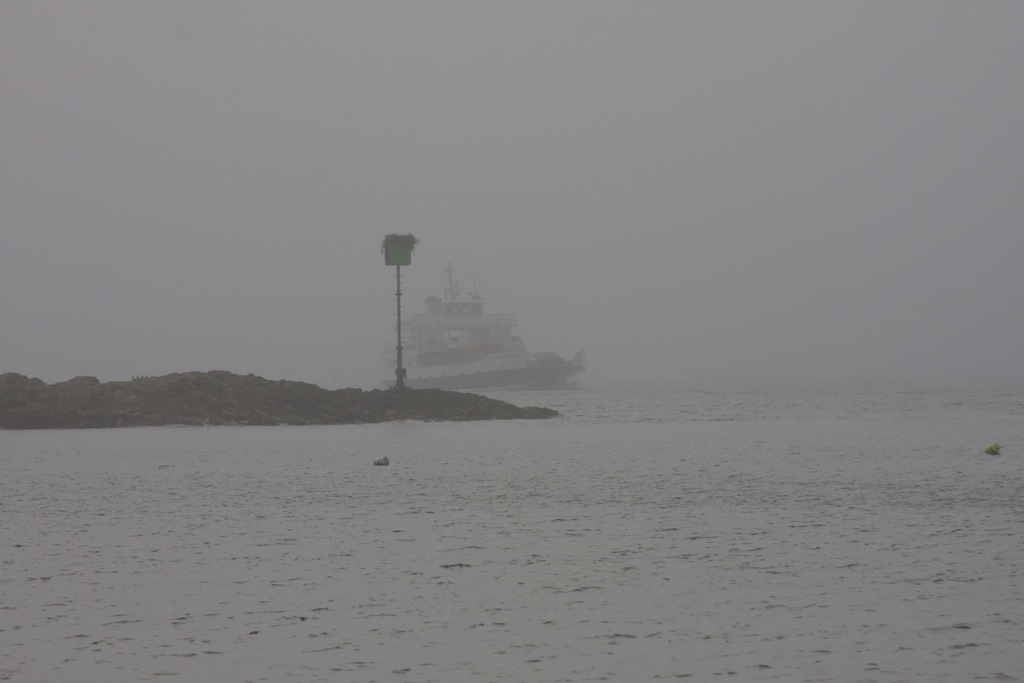 Foggy Thoroughfare Ferry boat .jpg