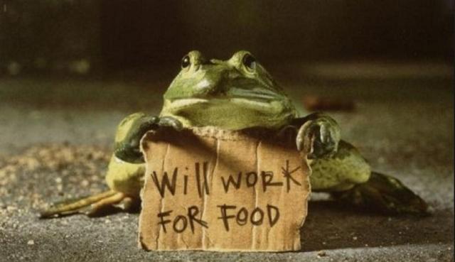 Food.JPG