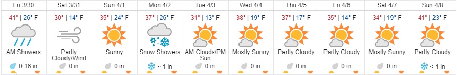 Forecast.jpg