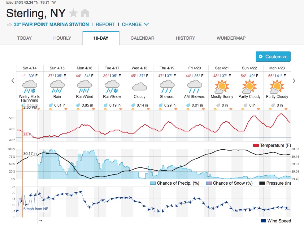 Forecast.jpg