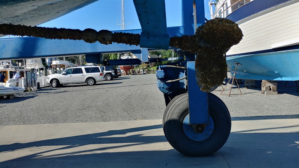 Fouled_Prop&Shaft_20200703.jpg
