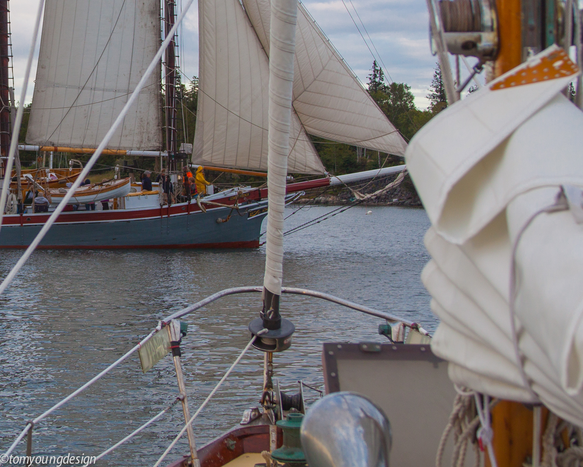 French sailing in crop.jpg