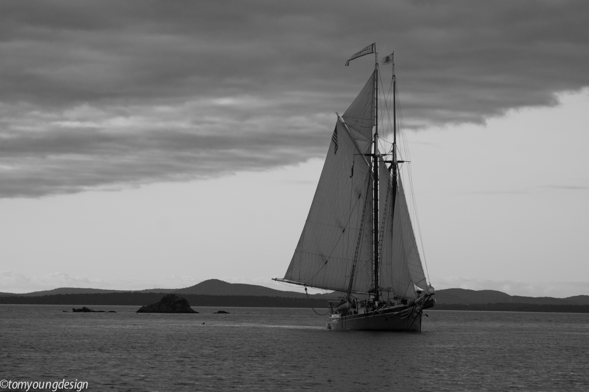 French sailing into Pulpit BW.jpg