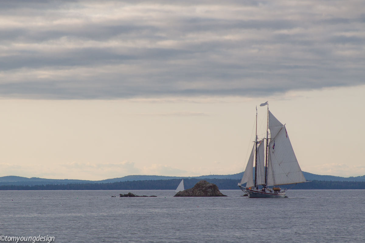 French sailing into Pulpit.jpg