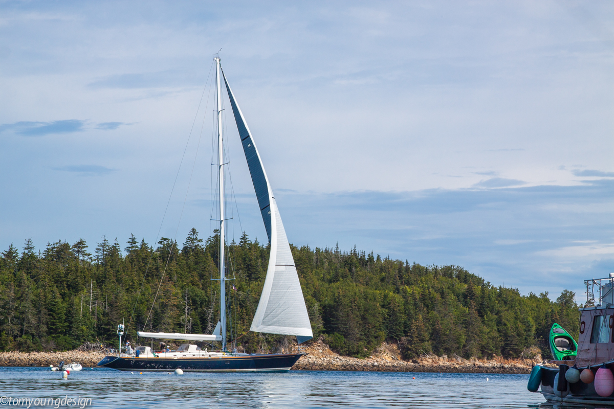 Frenchboro big sailboat.jpg