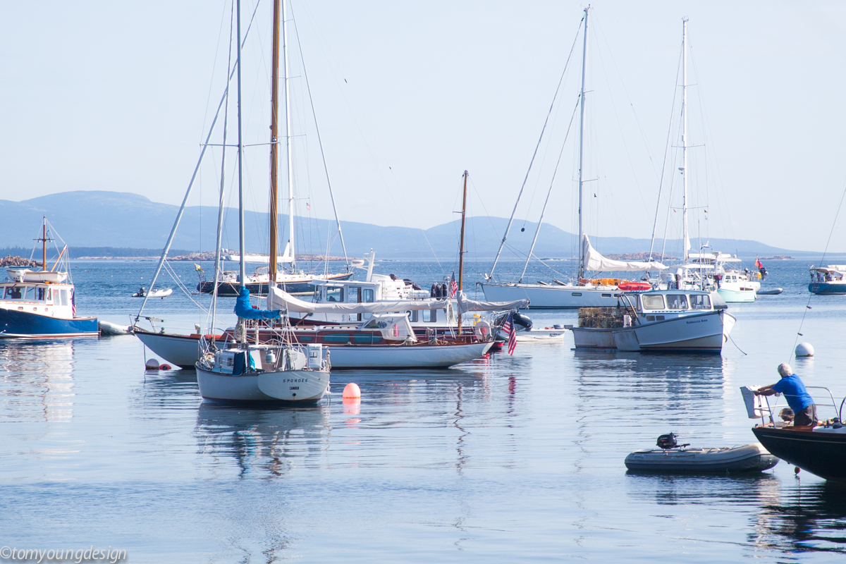 Frenchboro harbor tide change.jpg