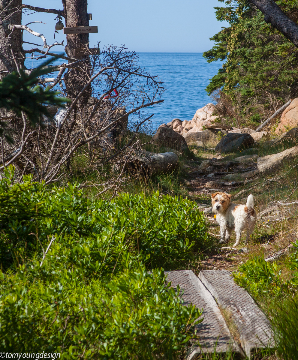 Frenchboro Little Beach_.jpg