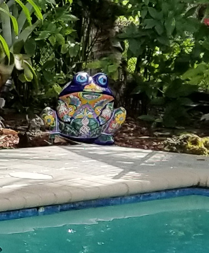 frog2.jpg