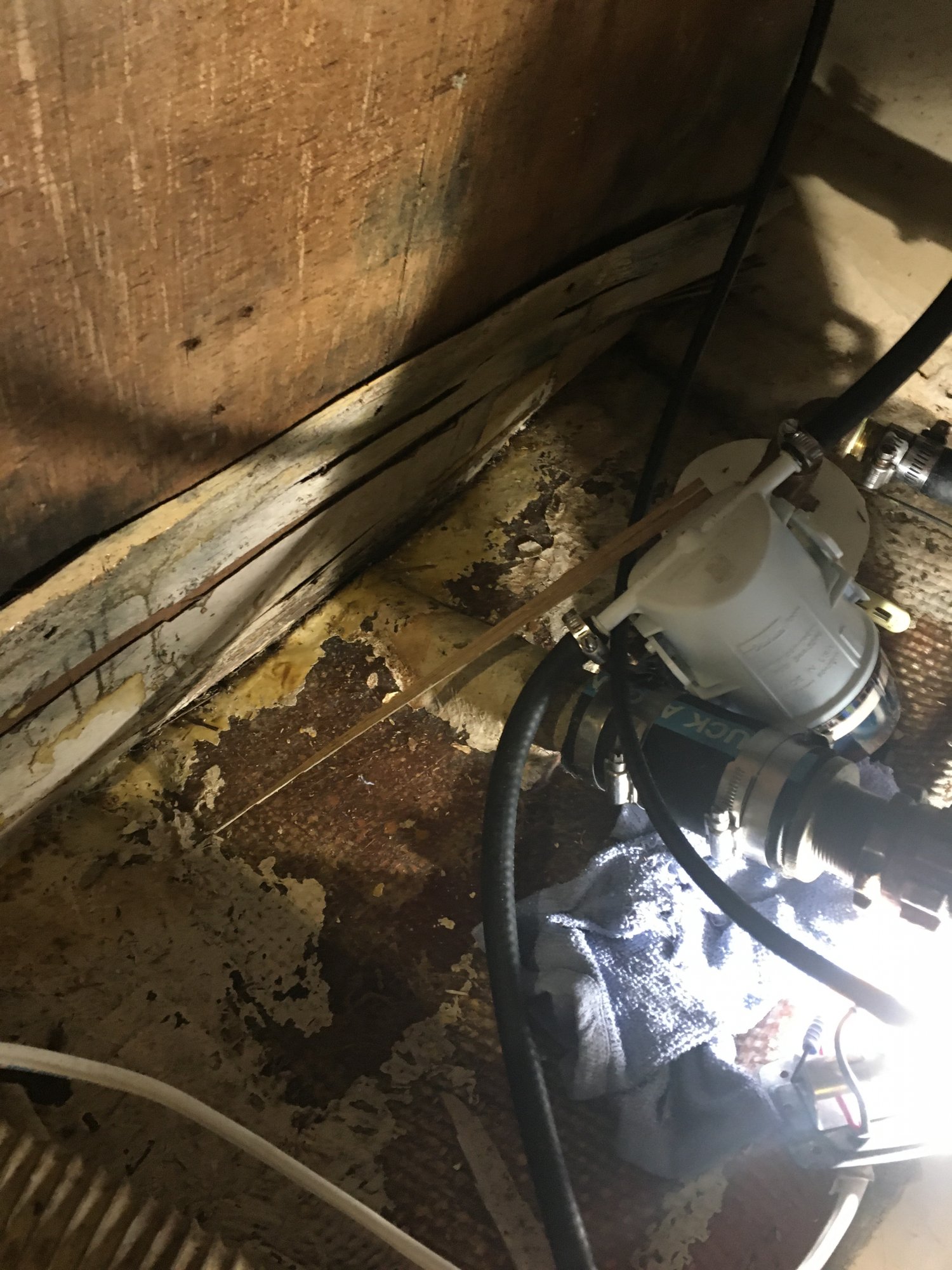 FUEL TANK REBUILD 3.JPG
