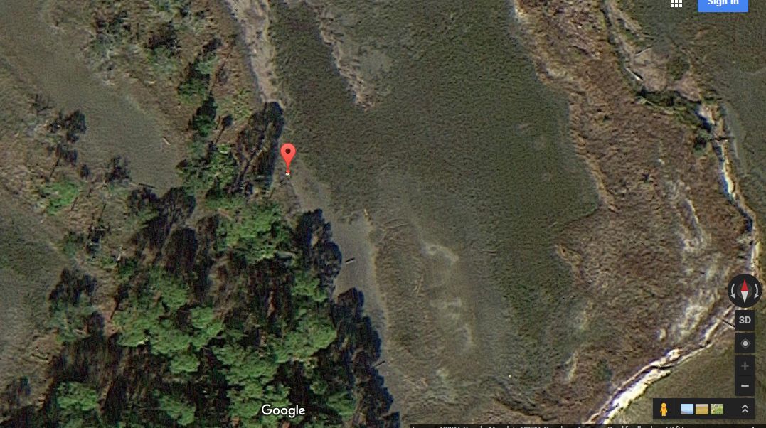 fully zoomed in.jpg