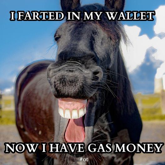 gas.jpg