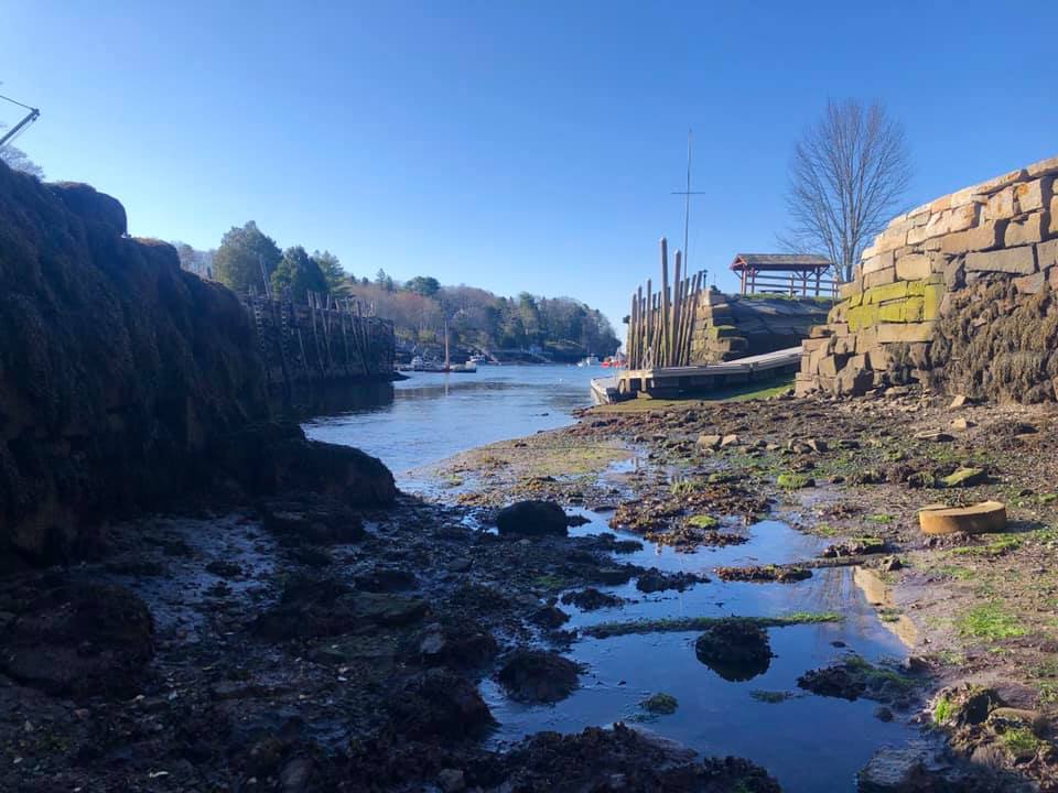 Goose river low water.jpg