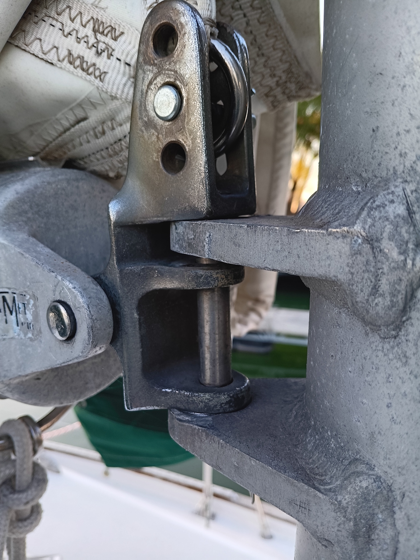 Goosehead side view.jpg