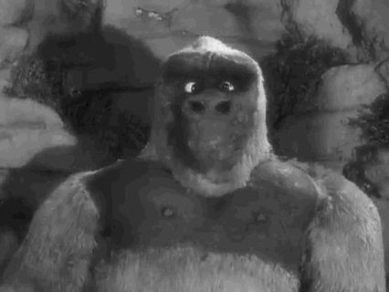 gorilla .GIF