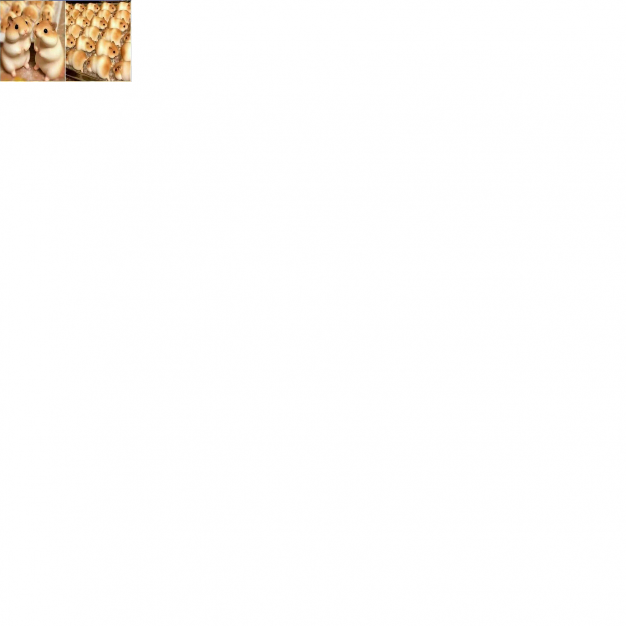ham.png
